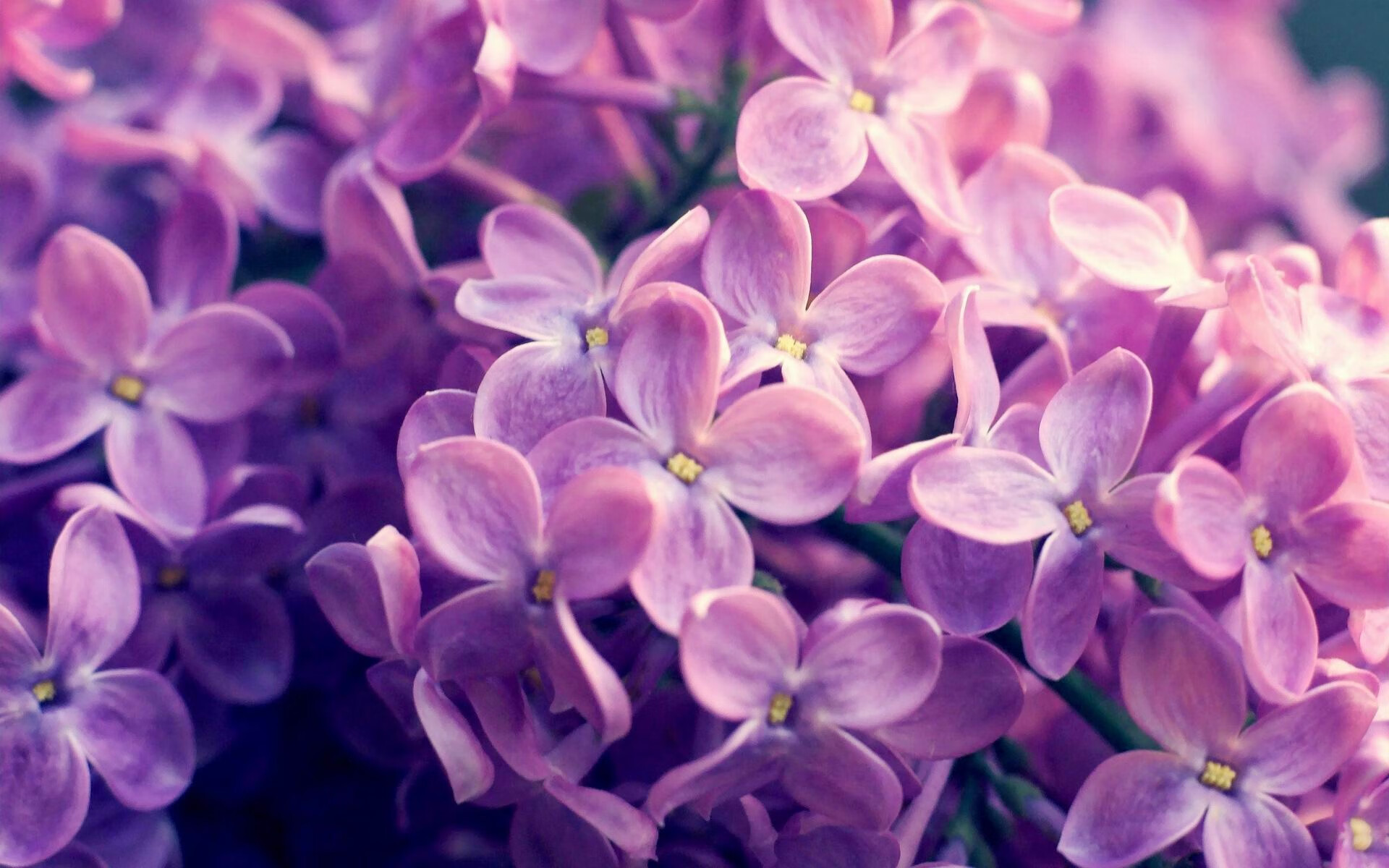 _国际网球巡回赛:精彩不断,期待新纪录_,国际网球锦标赛