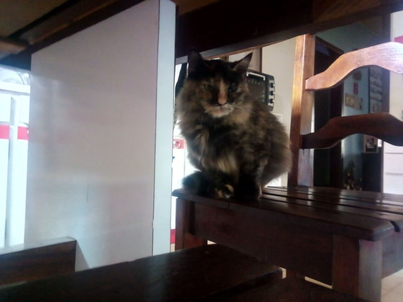 _场外热闻:运动员新恋情曝光引发热议_,运动员与明星的恋情都有谁