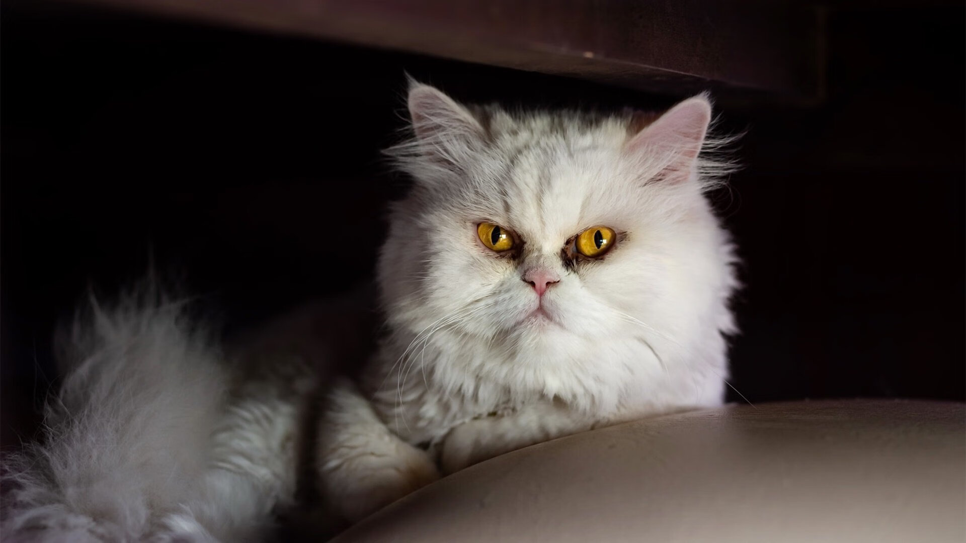 爱游戏娱乐平台-“足球公益跑活动在各大城市同步举行，凝聚人心”，足球公益活动标语