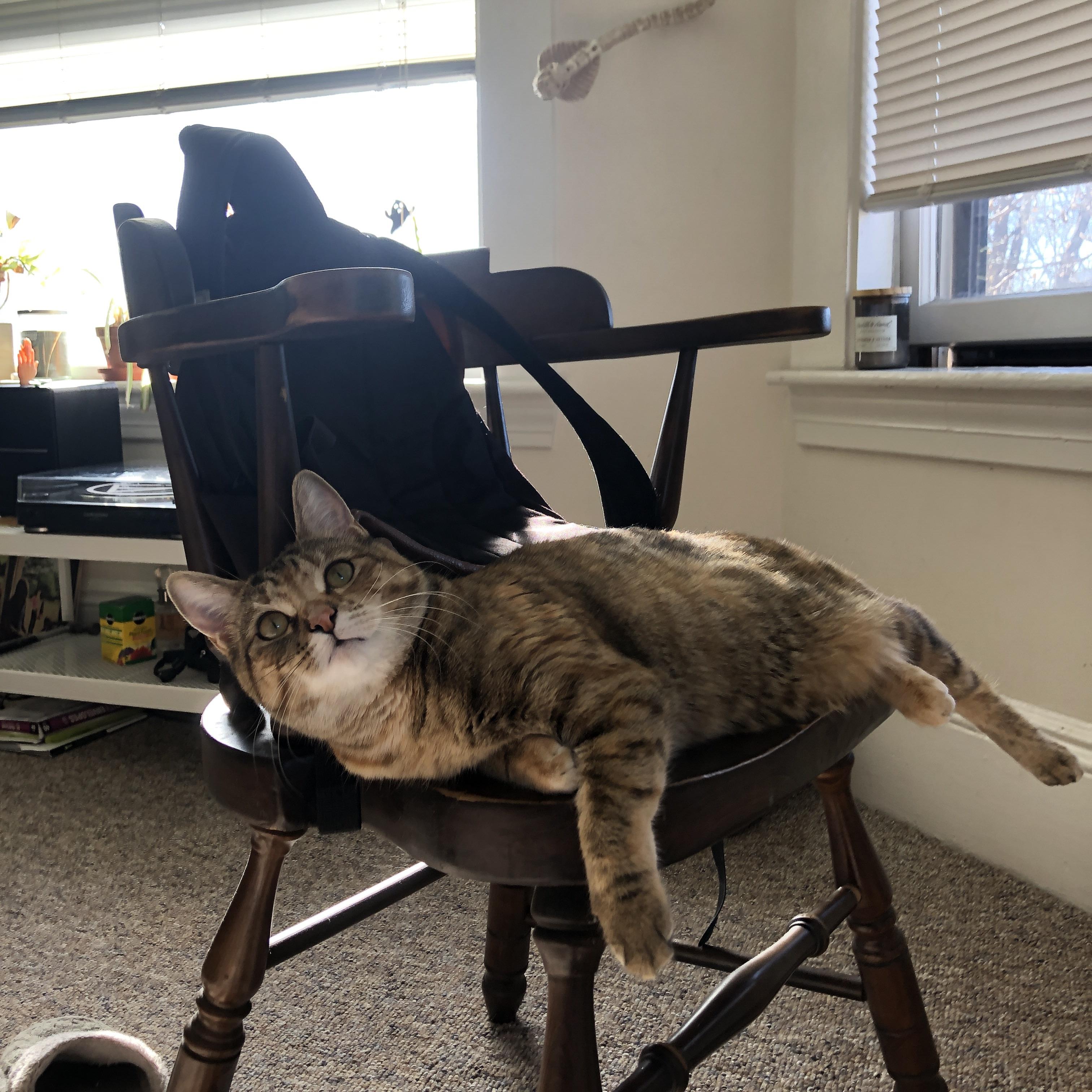 《知名品牌布局电竞广告,营销策略新高度》,电竞营销有关的品牌