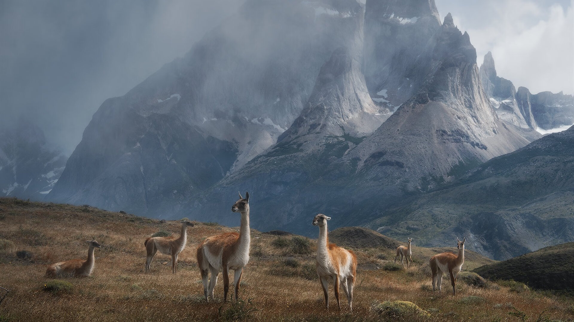 爱游戏平台-国际拳击联合会举办裁判培训班，国际拳击联合会拳王