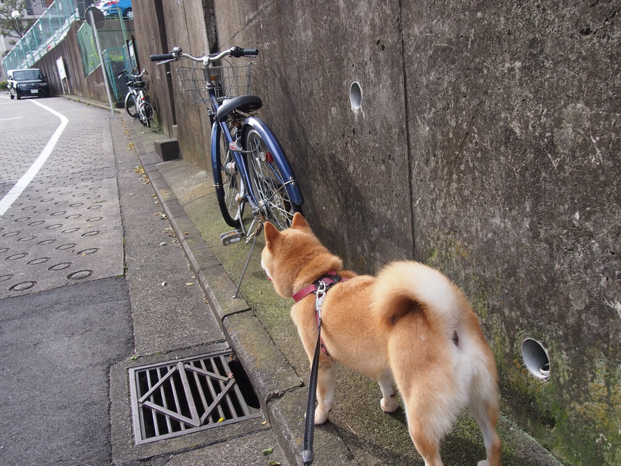 爱游戏体育-法甲赛场上，精彩瞬间和神级扑救成为最亮点，法甲球赛