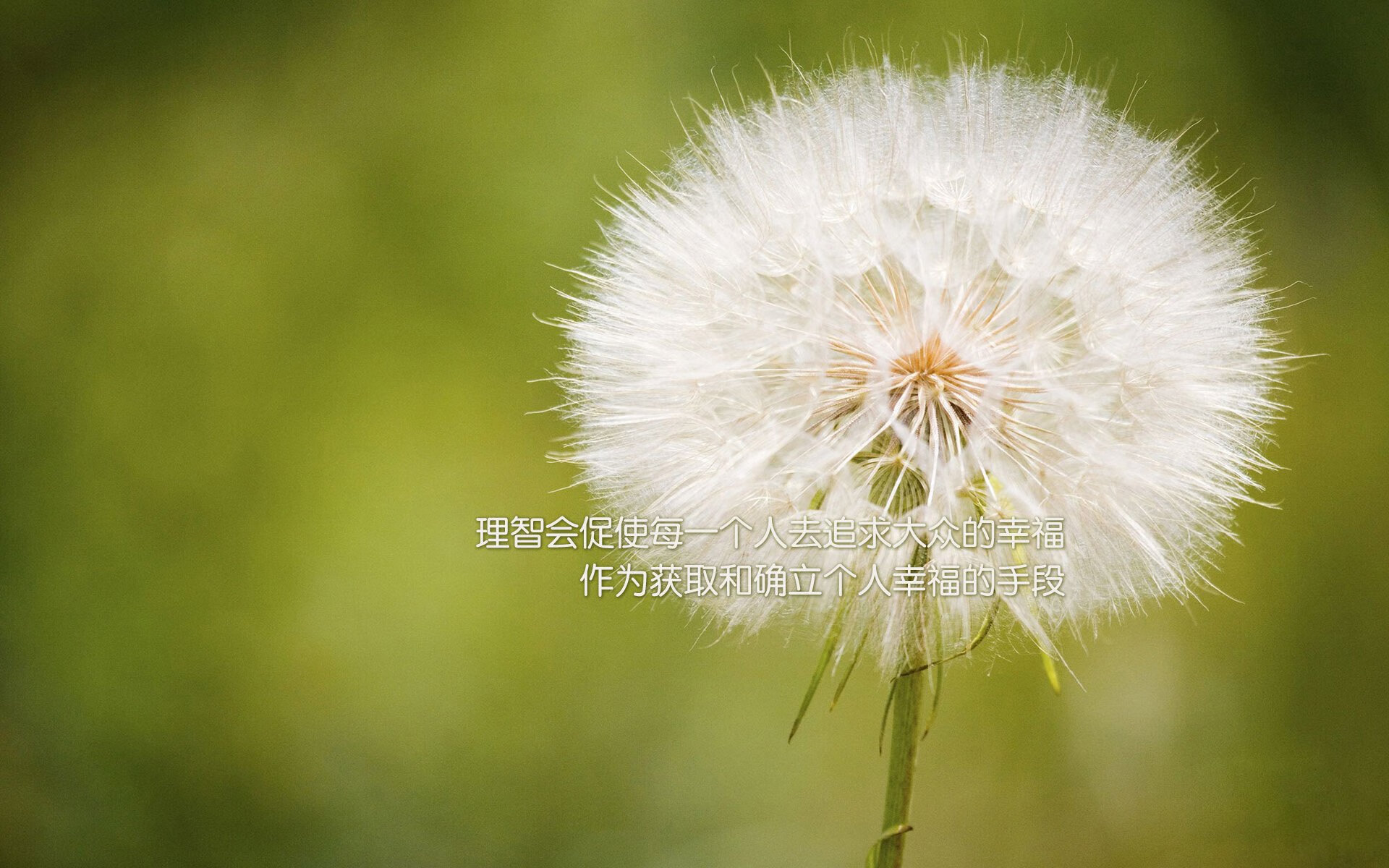 爱游戏娱乐平台-法甲赛场热潮，精彩瞬间不断，波澜壮阔，法甲赛制