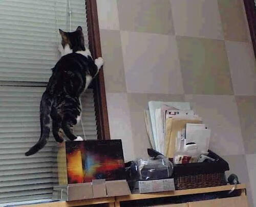 篮球裁判执法标准国际接轨,篮球裁判新规则