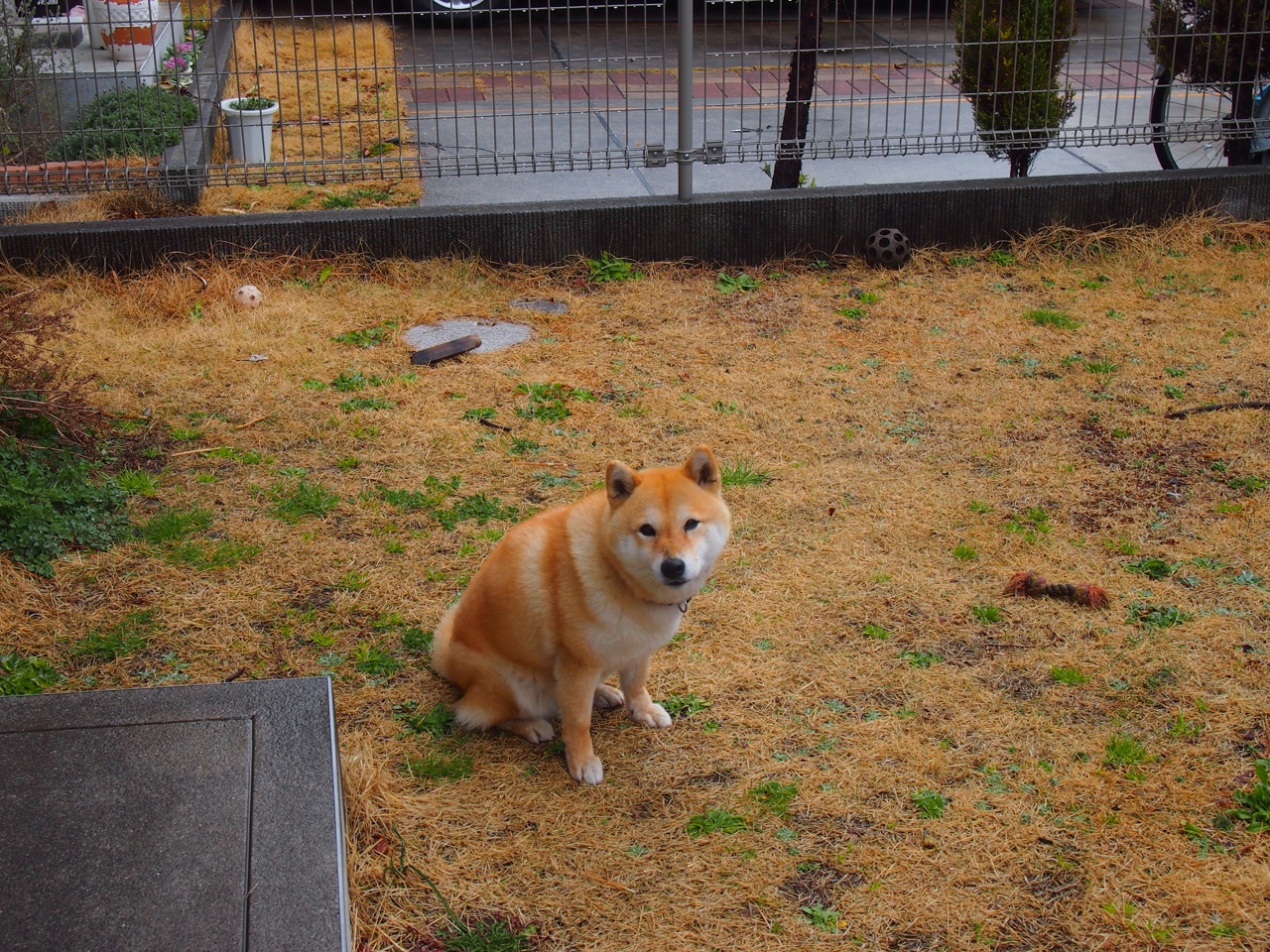 爱游戏电竞官网-篮球裁判执法视频技术辅助提升准确性，篮球执行裁判