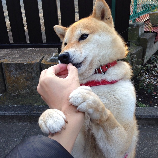 英超焦点大战:曼城逆转绝杀利物浦,悬念再升级,英超曼城vs利物浦全场回放cctv5