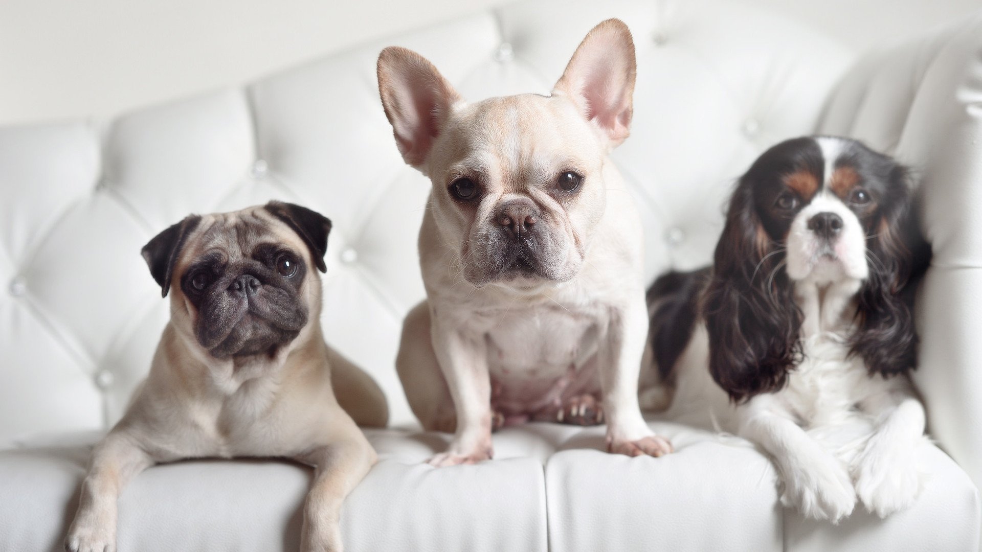 爱游戏体育app-赛后采访：李明感言“团队合作战胜一切”！