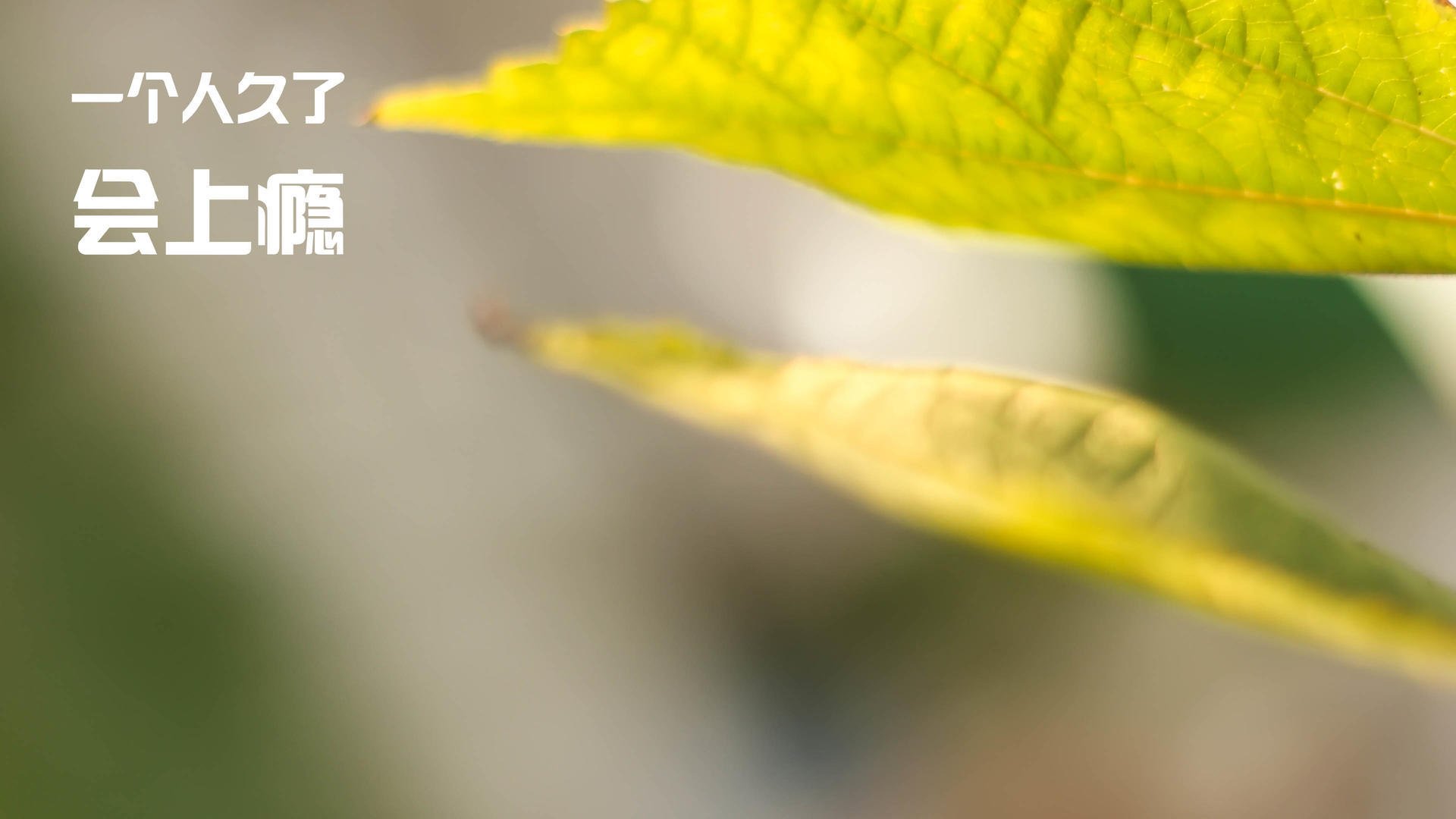 青少年足球篮球“跨界融合”体育节在天津盛大举行,天津青少年足球训练