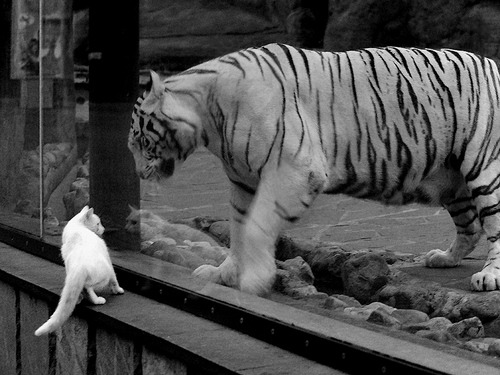 爱游戏体育app-体育竞技场面精彩绝伦，精彩不断，描写体育竞技场面的片段