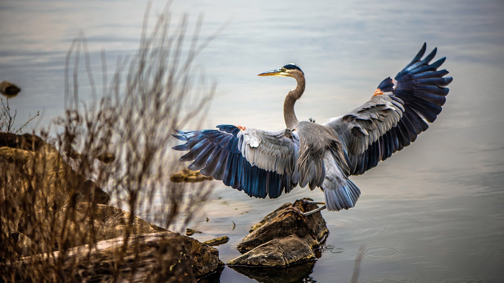 爱游戏娱乐-女足世界杯赛事安全保障措施，女足世界杯举办国