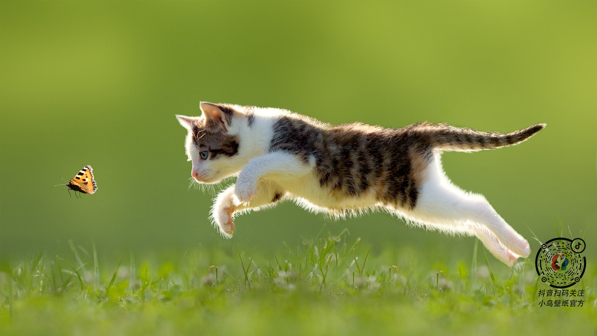 爱游戏娱乐-快船绝杀雄鹿，全明星赛前哨战中乔治双手暴扣点燃全场，快船乔治打什么位置