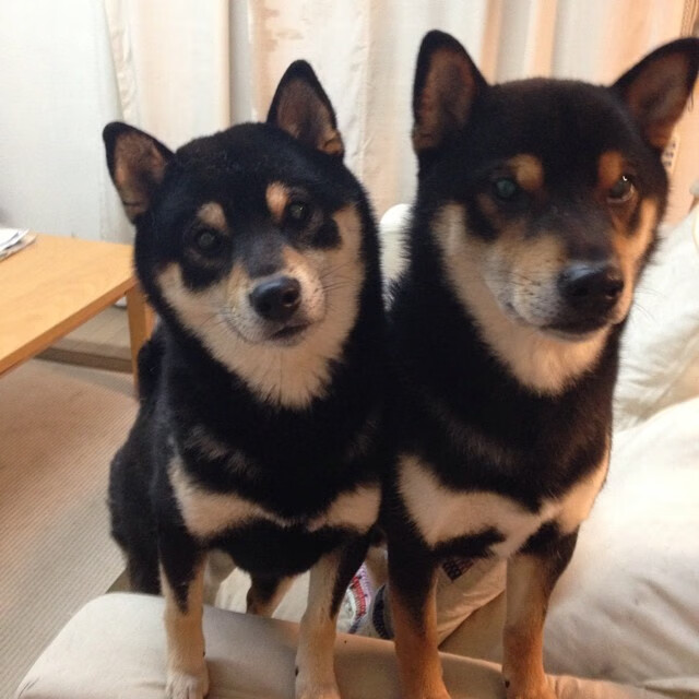 快船绝杀雄鹿,全明星赛前哨战中乔治双手暴扣点燃全场,快船乔治打什么位置