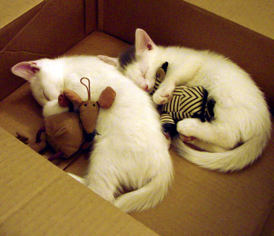 曼联逆转莱比锡,复仇小组赛失利,莱比锡3-2曼联小组出线