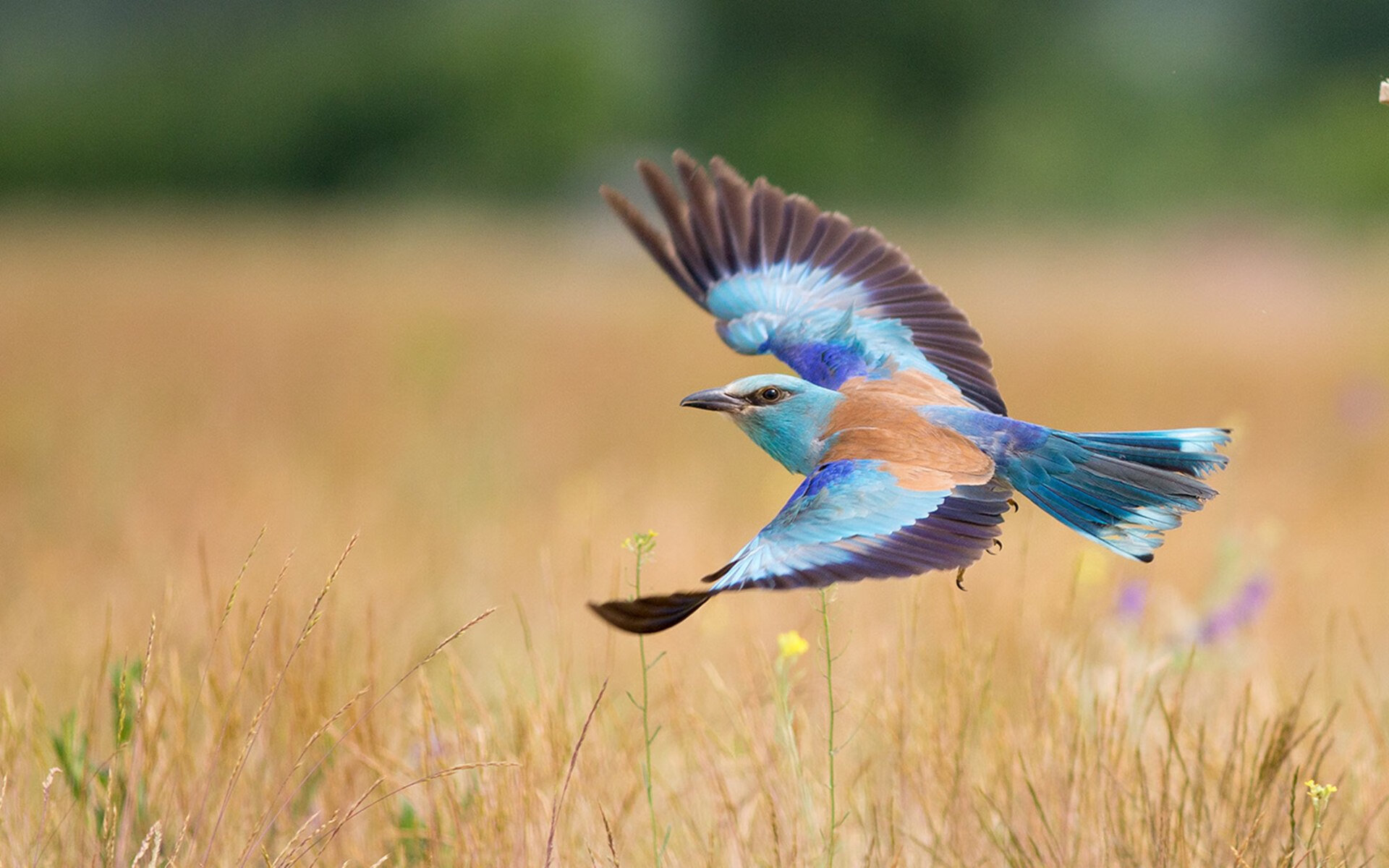 爱游戏app下载-比赛中球员们百分百投入，为荣誉而战，比赛时将球员罚出场外的牌子为