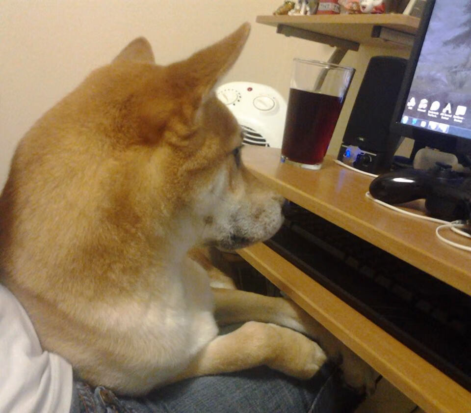 比赛中球员们百分百投入,为荣誉而战,比赛时将球员罚出场外的牌子为