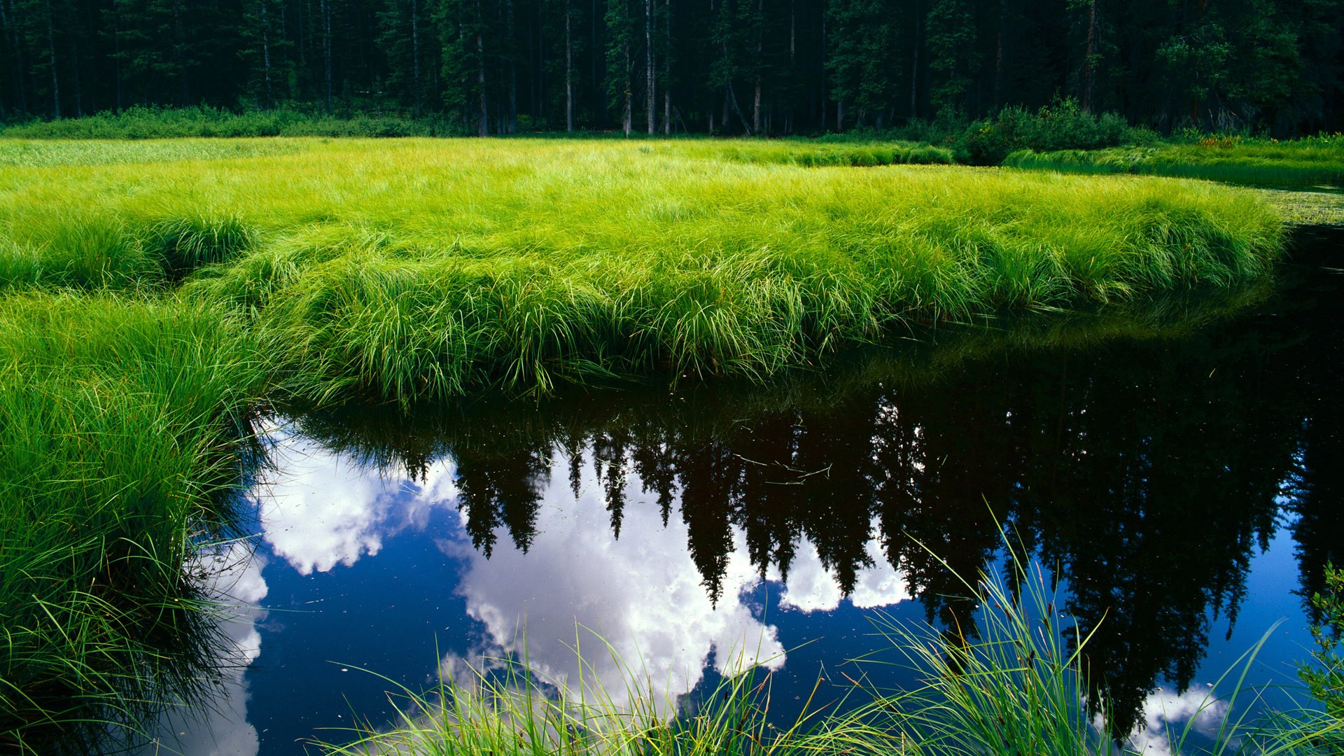 球队老板在决定战绩中扮演什么角色,球队老大是不是领袖