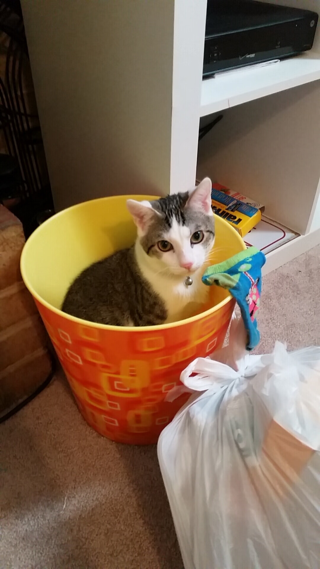 莱比锡客场2-0战胜弗赖堡，积分榜上升，莱比锡最新转会