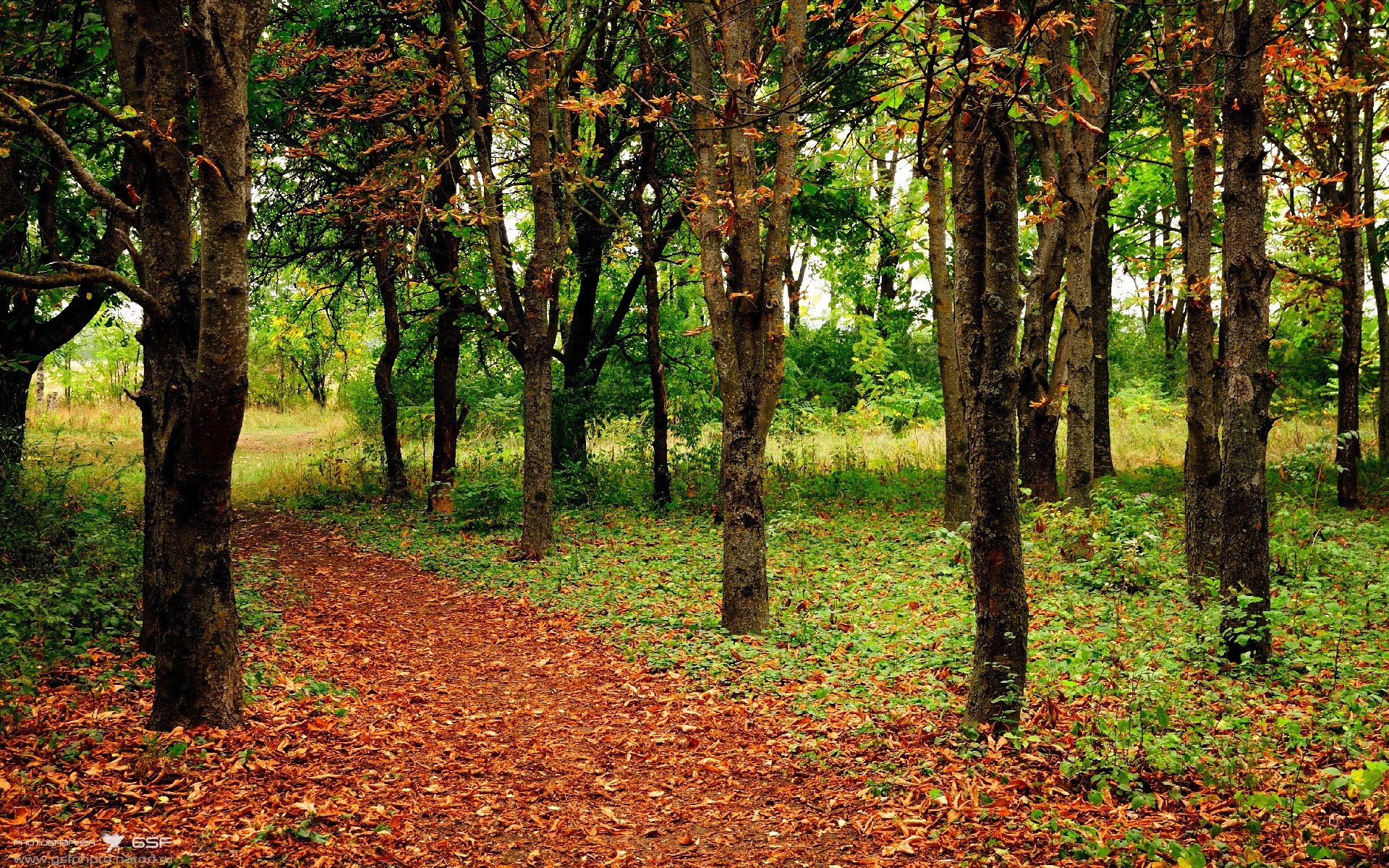 AYX GAME-体育教育专业学生身体素质变化趋势跟踪研究，体育身体素质包括哪些方面