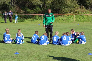 爱游戏体育（AYX）官方APP下载-国足对不同战术体系适应能力评估，国足体能与技术分析