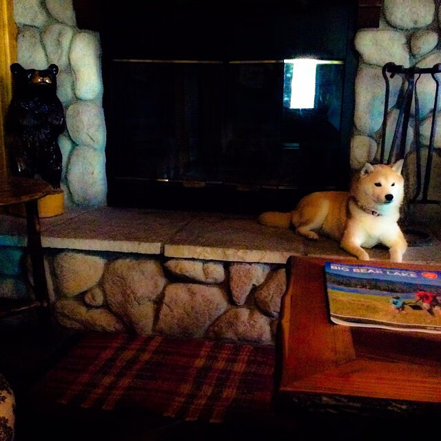 新闻中心开展员工关怀活动,员工关怀活动总结