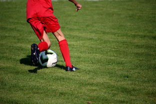 爱游戏中国官方网站平台-篮球运动员心理韧性培养及心理干预体系建设，篮球运动员心理素质的重要性