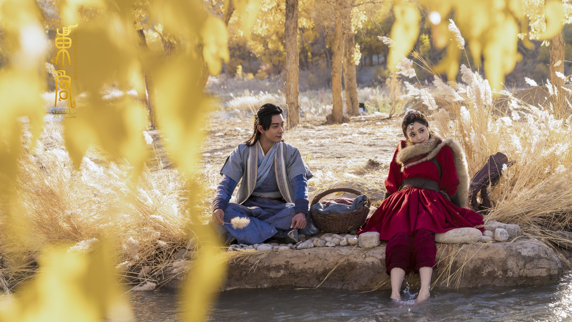 波兰队的精彩表现:如何在国际乒联混合团体世界杯中脱颖而出,波兰乒乓球联赛