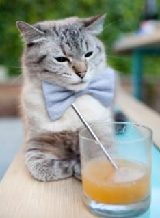 冬季两项运动员备战奥运会,冬季两项知名运动员