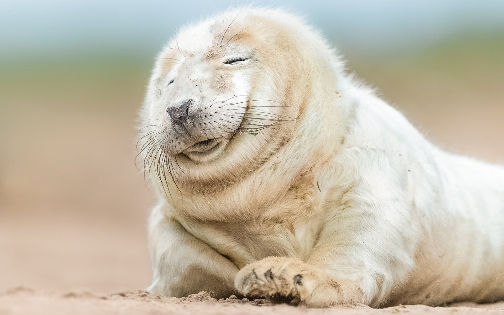 校园足球联赛首次实现省际直播观众互动踊跃,校园足球直播平台