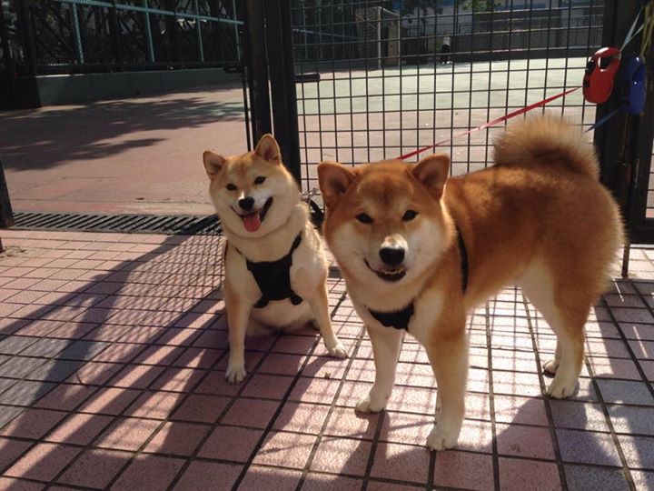 爱游戏在线登录入口-美洲杯绝杀瞬间：逆境中的勇者最终胜出，美洲杯决赛120分钟