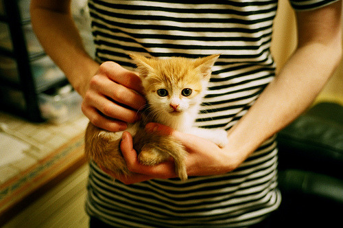 爱游戏下载-霍特·巴雷特：全黑队背后进攻的灵魂人物，出色视野引领进攻，霍比特 巴德